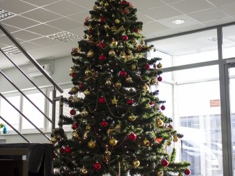 Wesołych Świąt i Szczęśliwego Nowego Roku